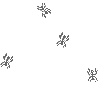 ants.jpg