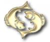 zodiac-clipart76.gif 6.8K